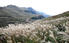 호국영산 창녕 화왕산 억새보러 가자