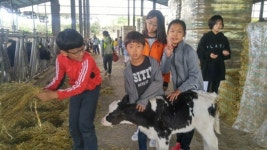 하동 묵계초 오감으로 체험한 낙농산업