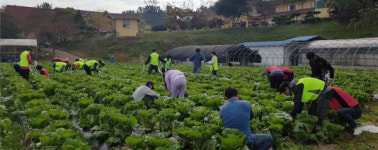 진주 신평새마을금고 일손돕기 봉사