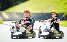 통영 스카이라인루지 기대 이상 성과