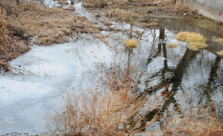 우수에 녹은 갈전천 얼음
