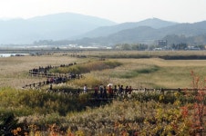 세계5대 연안습지 순천만 탐방