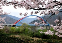 봄꽃의 향연 하동으로 봄나들이 떠나요