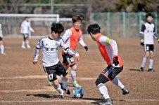 남해군협회장기 생활체육 축구대회 10일 킥오프
