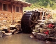 천년 숙성한 인공과 자연의 콜라보 함양 상림