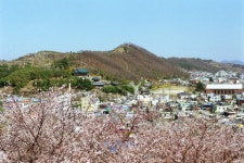 진주시 비봉산 생명의 숲으로 되살아난다