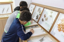경남과학교육원 곤충 세밀화 그리기 대회 개최