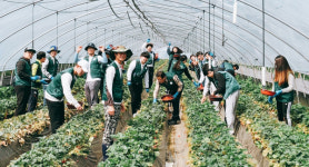 진주시4-H연합회 노인요양병원 방문격려