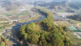 벌써 신록으로 물드는 함양 상림공원