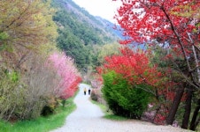 창원 진해구 걷기 좋은 명품 길 조성·정비