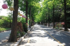 창원 용지동 가로수 길에서 문화감성 충전하세요