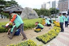 새마을운동합천군지회 싱그러운 여름꽃 식재
