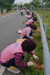 진주 문산읍 문산천 꽃잔디길 조성