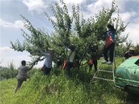 진주농관원 일손부족 농촌 봉사활동 펼쳐