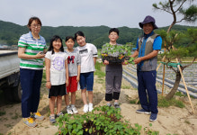 함양 칠성면업사 교육용 목화 모종 기부