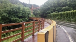 마금산온천 구름다리 걸으며 힐링하세요