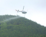 합천군 밤나무해충 항공방제 실시