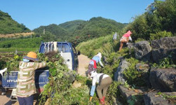 합천 용주면 자연봉사협 황계폭포 환경정화