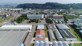 도농기원 태풍대비 농작물 피해최소화 당부