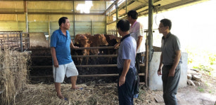 사천시 하절기 가축 무료 순회진료