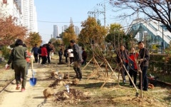 창원시, 임항선 그린웨이서 가을철 시민기념식수 행사