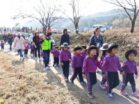 하동 진교면 메타세쿼이아길 걸으며 건강 다져요