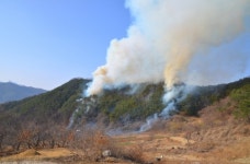 합천소방서 봄철 건조기 산불조심 당부