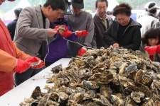 통영 굴축제 등 경남 수산물축제 풍성