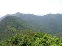 산림욕 즐기러 하동 이명산으로 가자