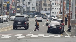 증가하는 노인 무단횡단 사고 해결방안 없나