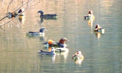 가야산국립공원 봄기운 톡톡