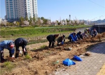 진주 판문천에 아름다운 꽃길 조성
