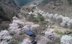 의령군 궁류 벽계야영장 개장 공고