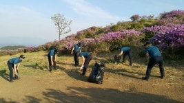 경남경찰청 제1기동대 황매산 철쭉제 현장 환경정화 펼쳐