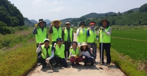 진주 진성면 중촌천 코스모스꽃길 조성