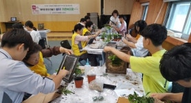 산청자봉센터 공기정화 식물 액자 재능기부