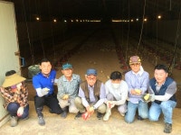 더불어 사는 통영 도산면 농촌일손돕기