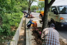 진주 이반성면에서 꽃길만 걸어요