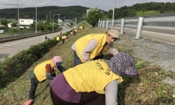 진주 내동면 주민자치위원회 꽃길 가꾸기 구슬땀