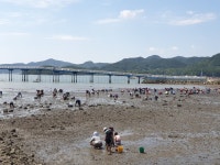 고성 신부마을로 갯벌체험 오세요