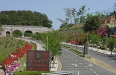[2020년 수시특집-경남지역 대학을 가다]가야대학교
