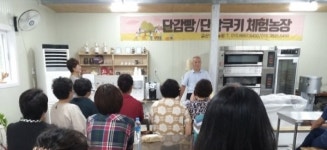 창원 의창구에 단감빵·단감쿠키체험 농장 개업