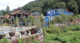 함안 칠원 B&B 북카페 장미정원 쉼터 배정한 대표