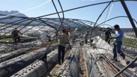 거창군 가지리부대 태풍 타파 피해 현장 대민지원