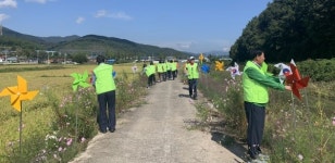 진주 진성면 코스모스 꽃길 바람개비 설치