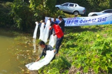 합천군 대양면, 붕어치어 10만여 마리 방류