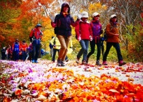 지리산 하동, 가을을 걷다