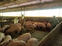 거창군 축산농가 감염성 폐기물 처리사업 추진