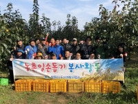 창원 도시개발사업소 단감농가 농촌일손 돕기 실시