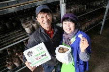 강소농 현장을 찾다(10)-의령 송이이모 표고버섯 조재완·이정화 대표